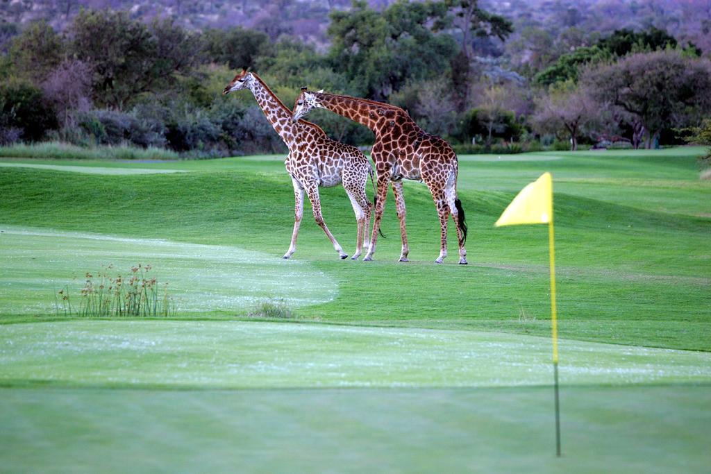 Royal Game Guest House Phalaborwa Exterior photo